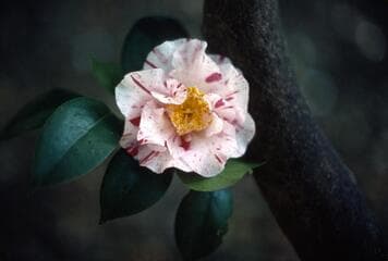 Go to image 2.
