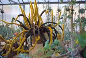 Go to image 13.