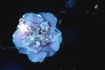 Go to image 3.