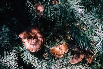 Go to image 38.