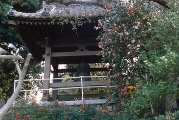 Go to image 4.