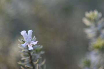 Go to image 4.