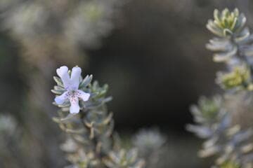 Go to image 6.