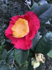 Go to image 2.