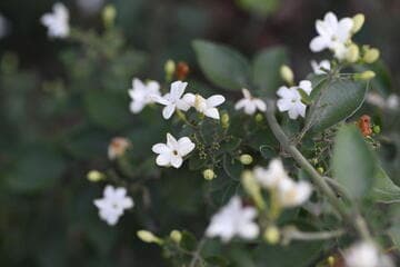 Go to image 7.