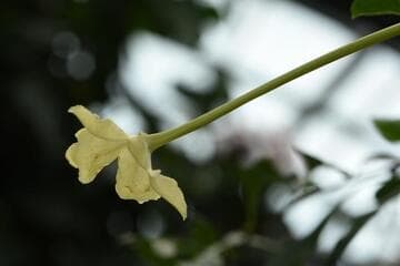 Go to image 4.
