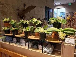 Go to image 2.