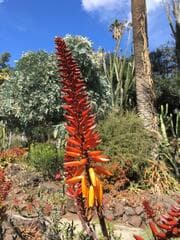Go to image 11.