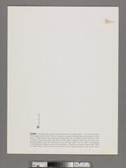 Go to image 4.