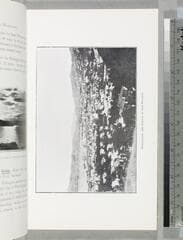 Go to image 45.