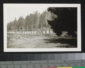 Rifle Range