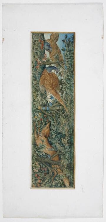 Fox and Pheasant