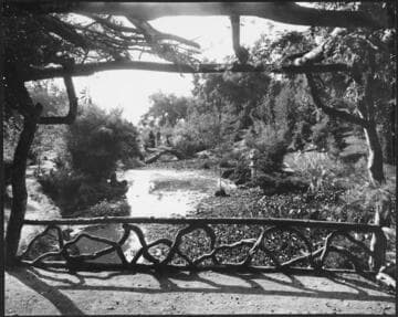 Japanese garden