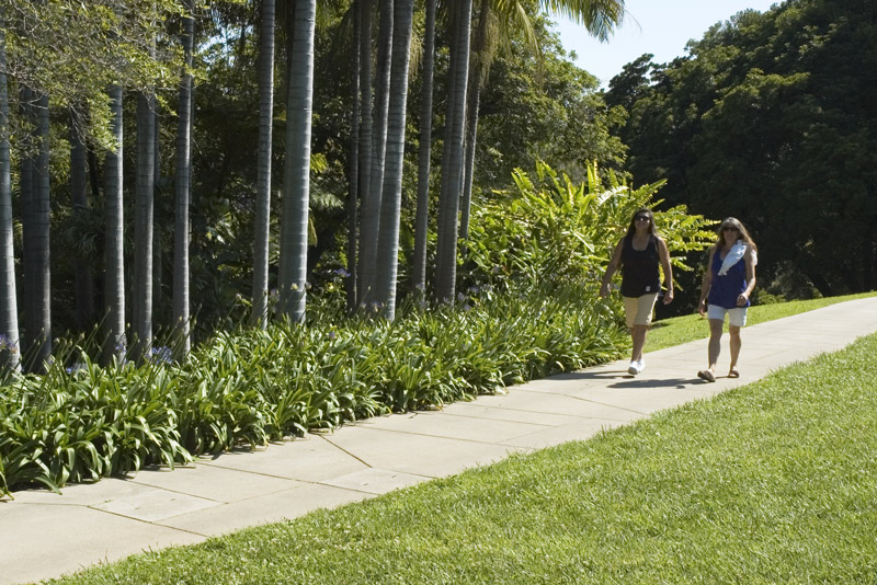 Walkers set a brisk pace on a scenic path above the Jungle Garden.