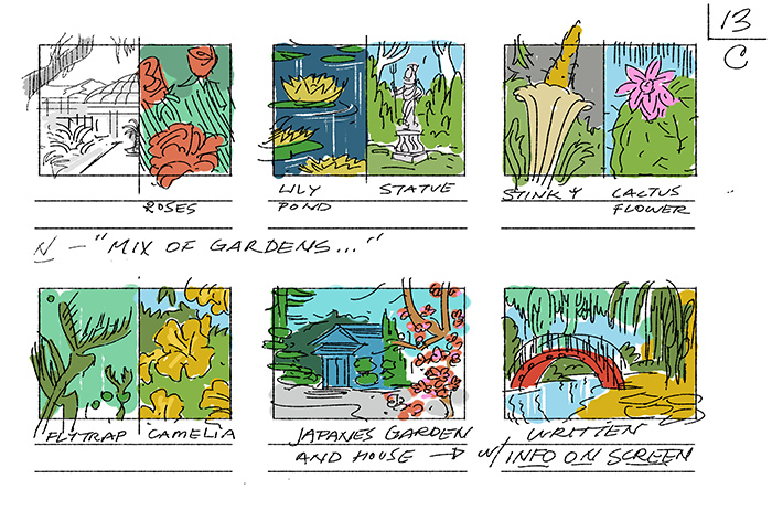 Segurson depicts the variety of gardens at The Huntington in this colorful storyboard sequence.